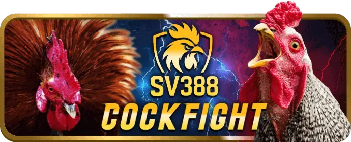 Blackjack VL88