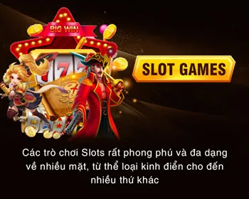 Cá cược Thể Thao VL88